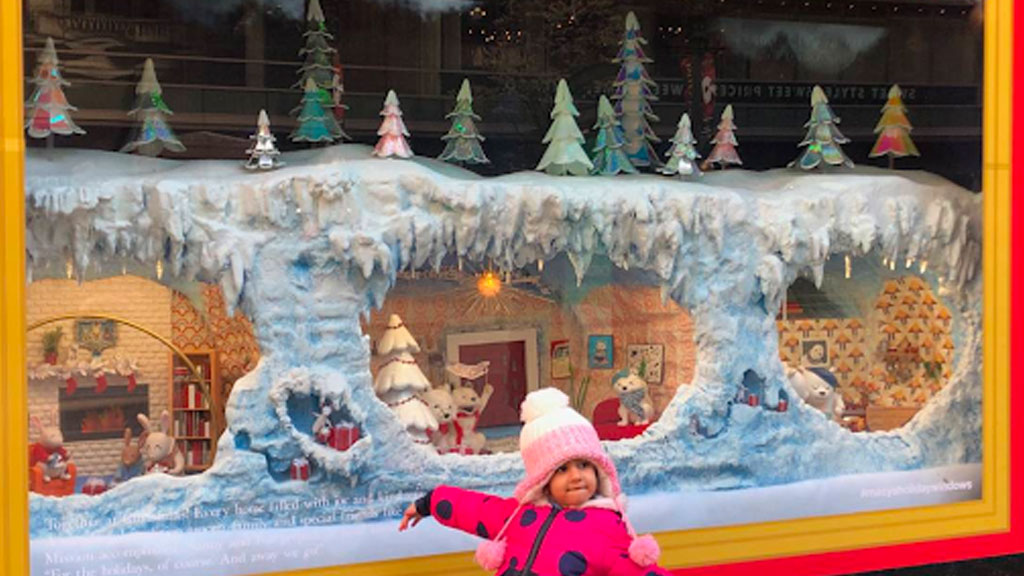 Macy's Holiday Window